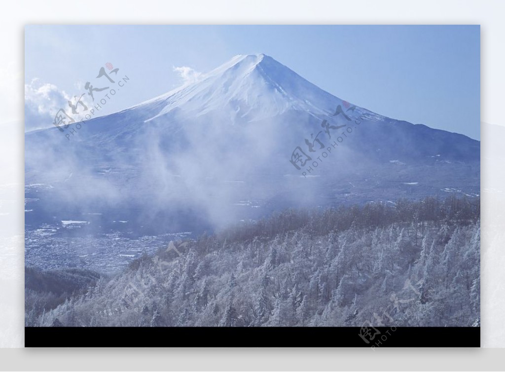 樱花与富士山0192