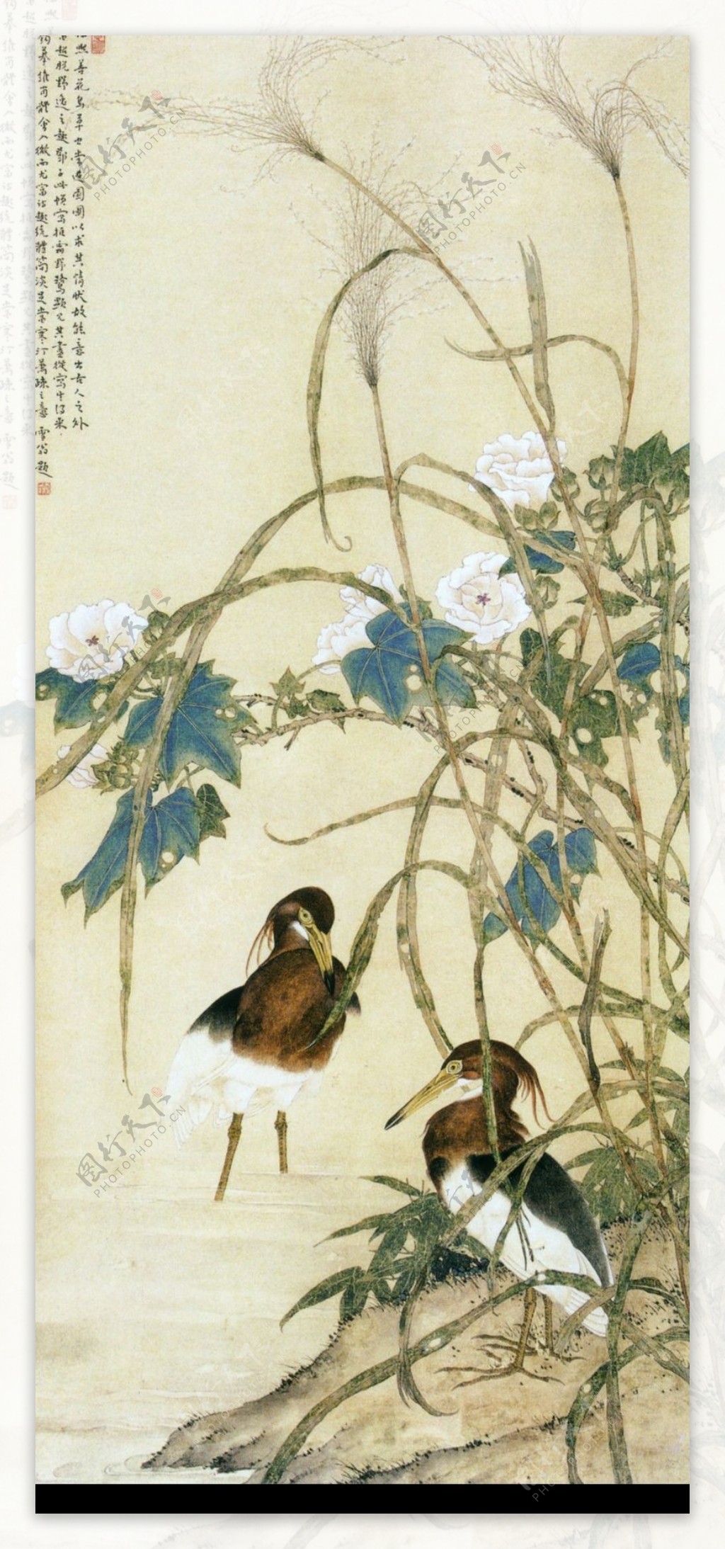 中国现代花鸟0116