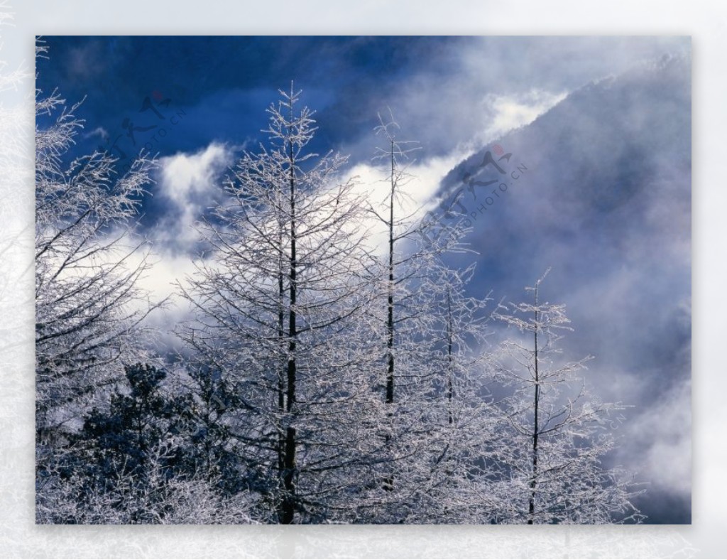 山林雪景0071