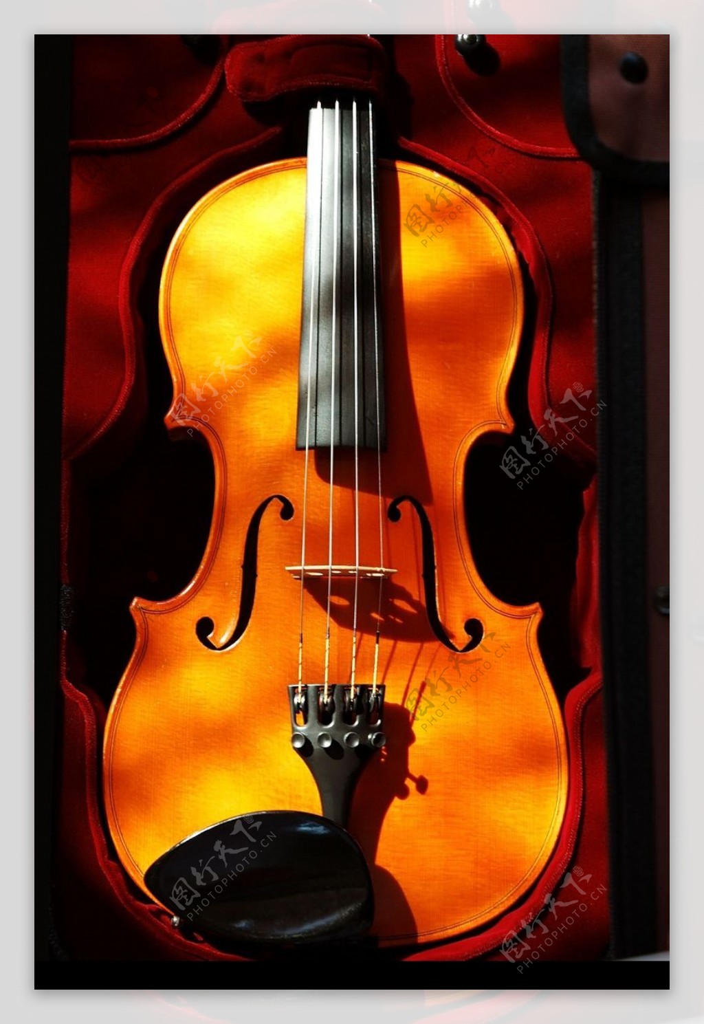 小提琴0025
