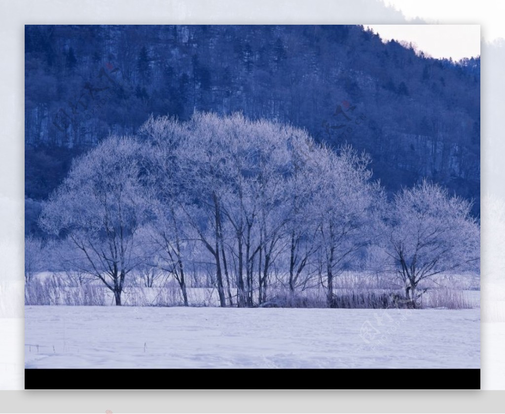 冬天雪景0429