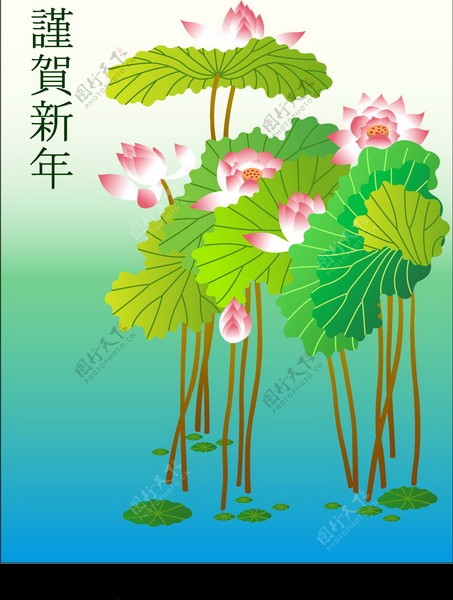 竹子荷花植物0062
