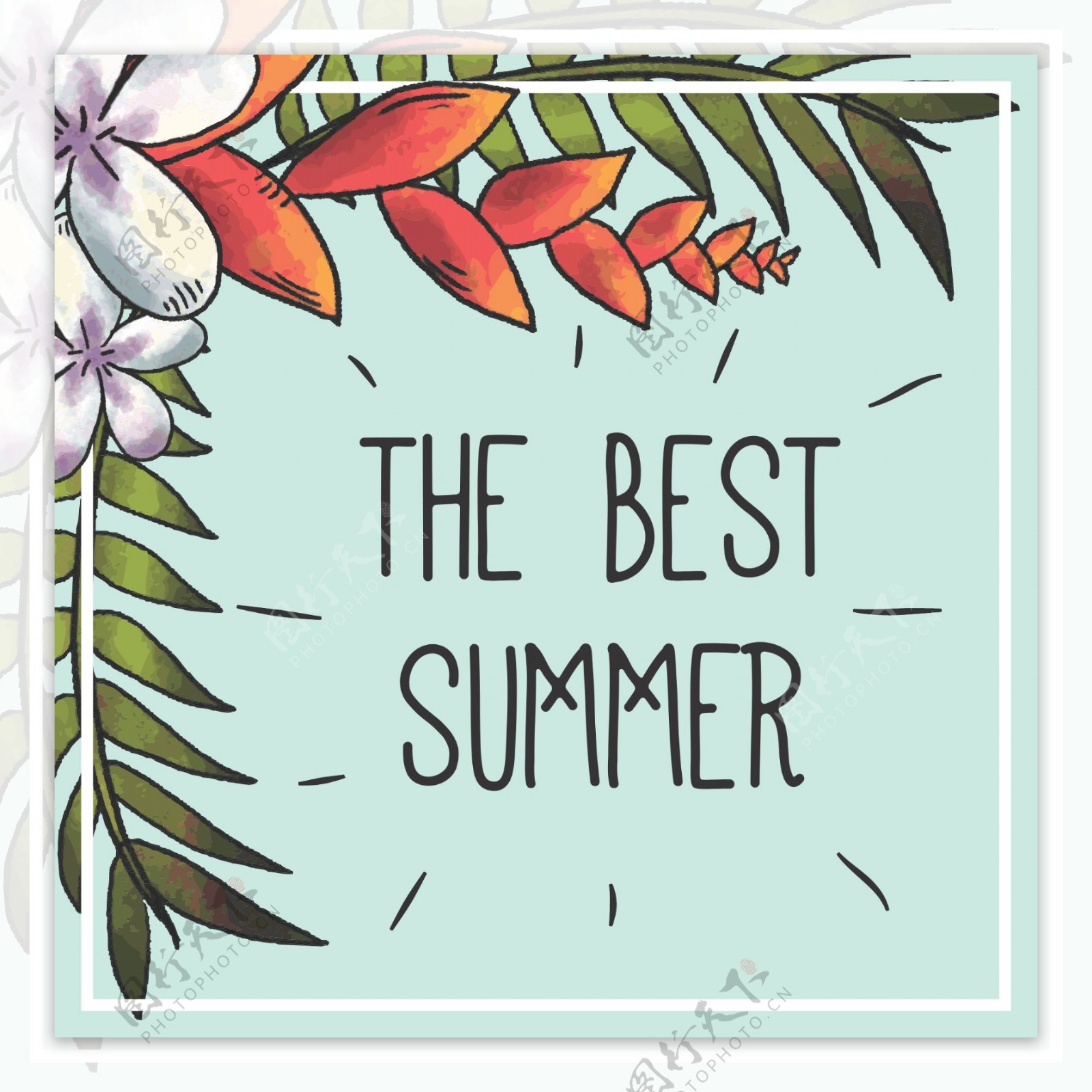 手绘的夏季花卉卡片