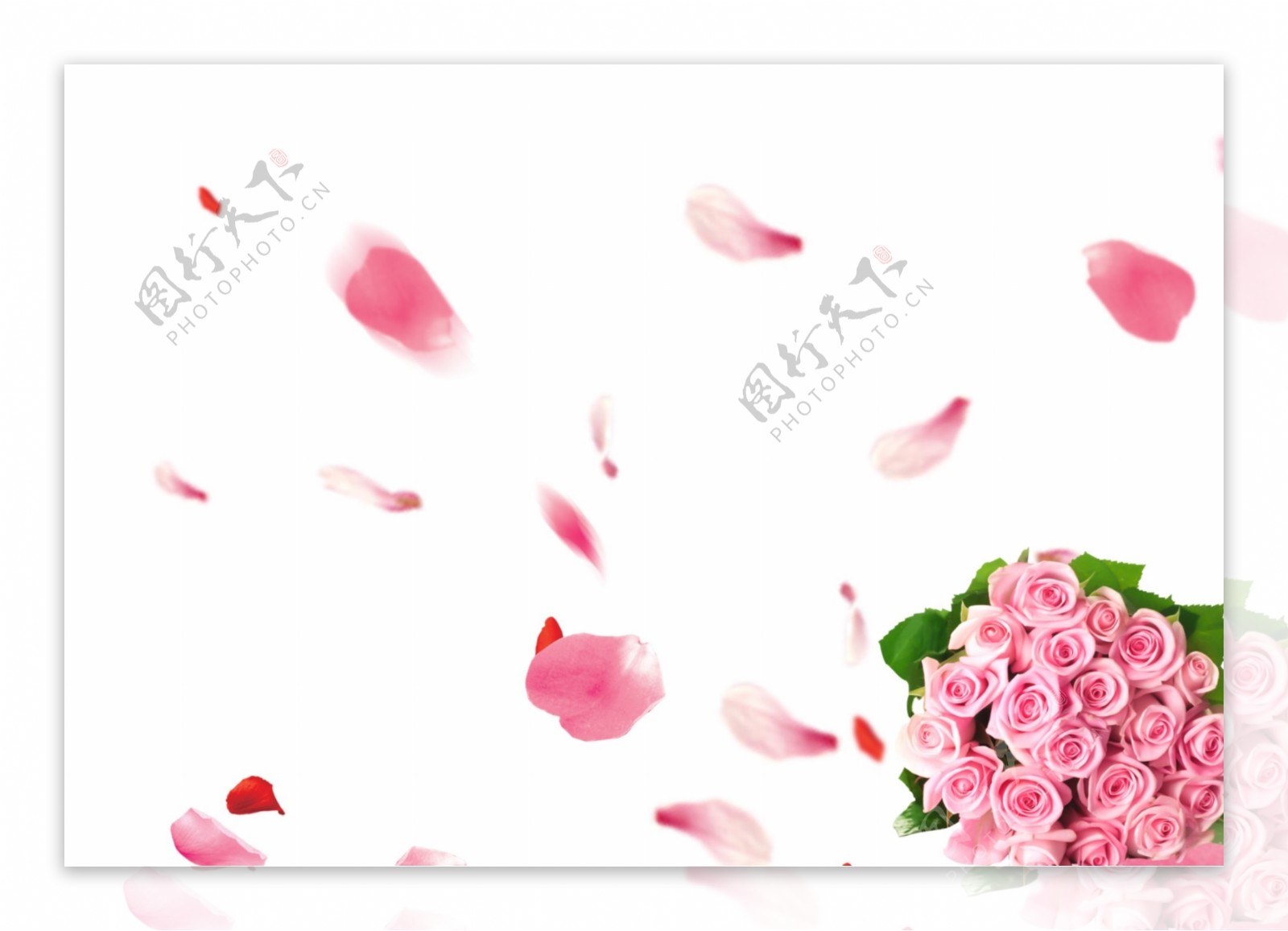 粉色玫瑰花瓣花束