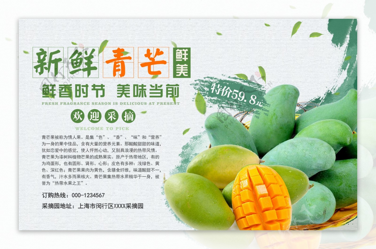芒果夏季水果促销海报