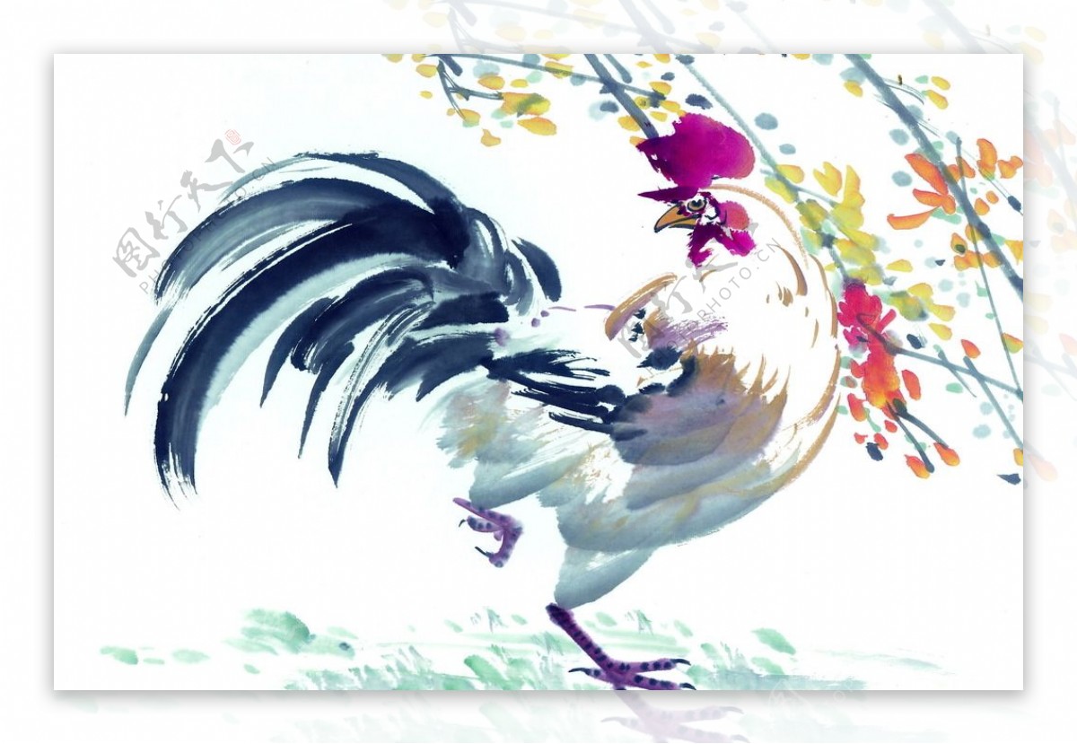 动物水彩素描一只公鸡精神抖擞透明PNG素材