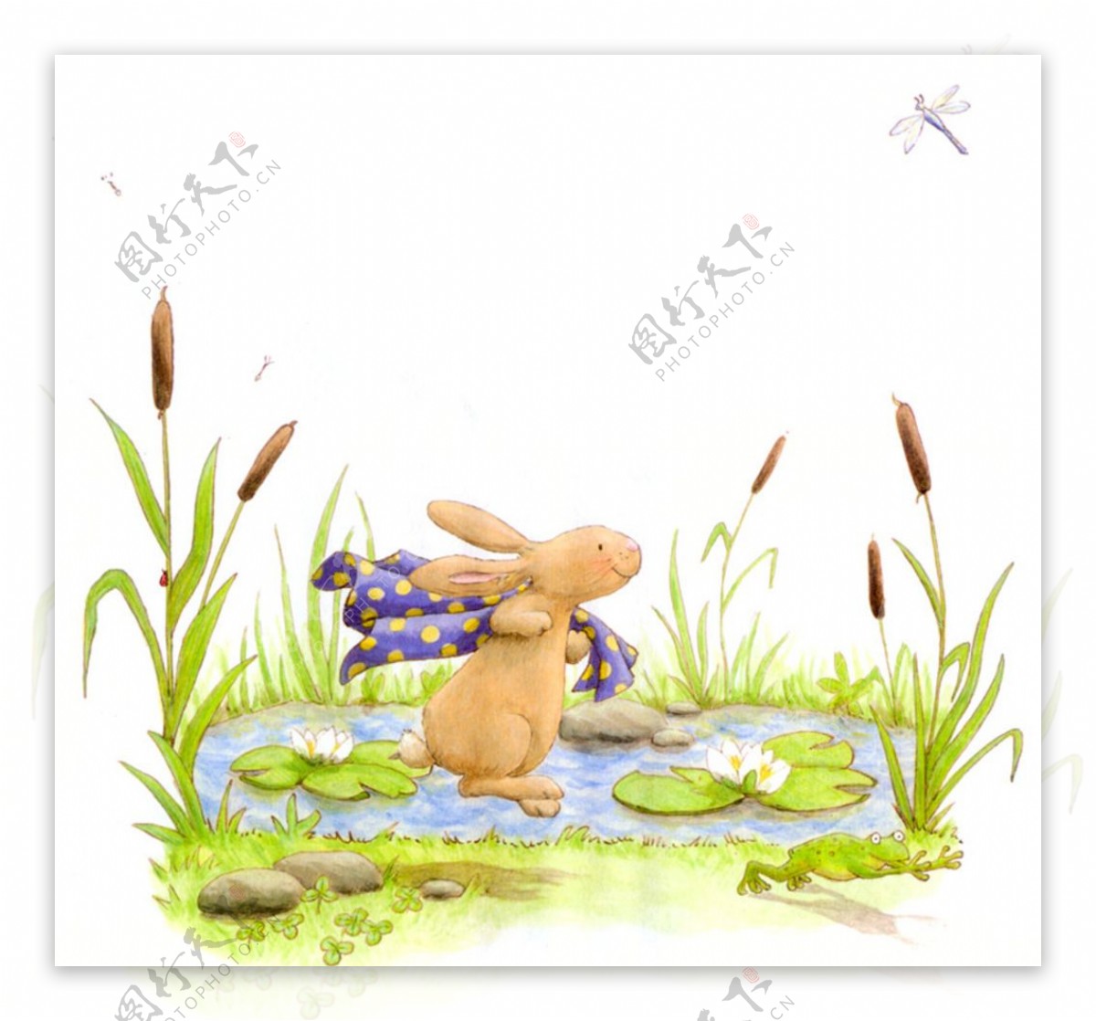 河水里的小兔子插画