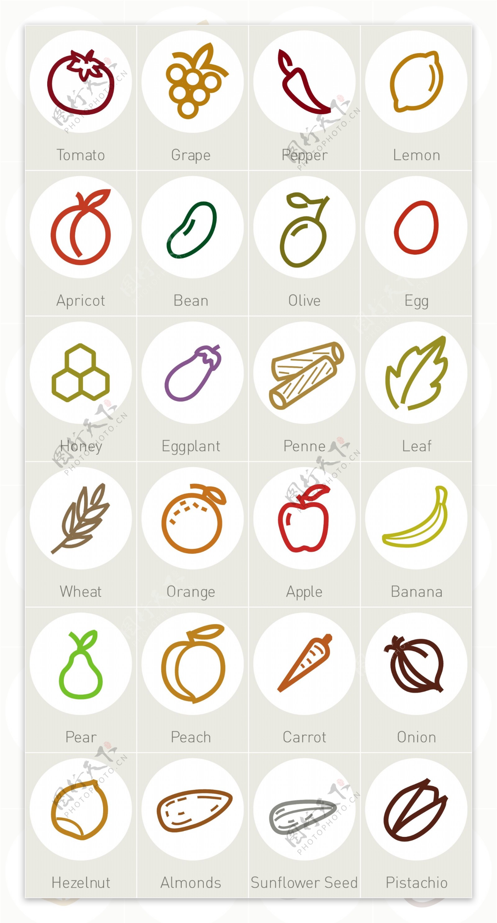 24种天然食物小图标