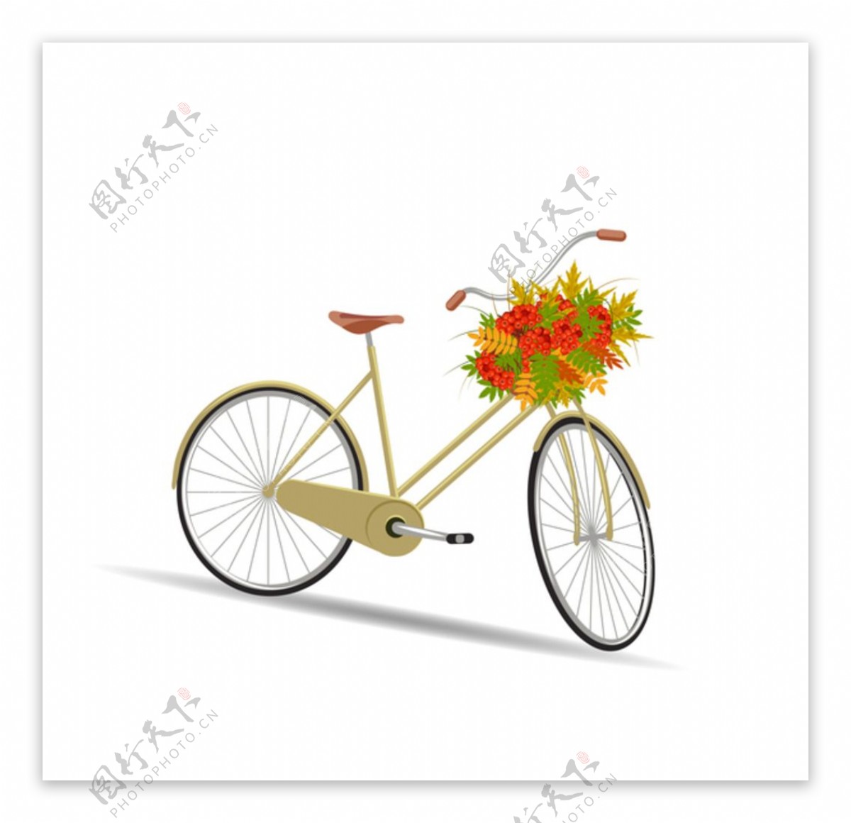 花卉自行车