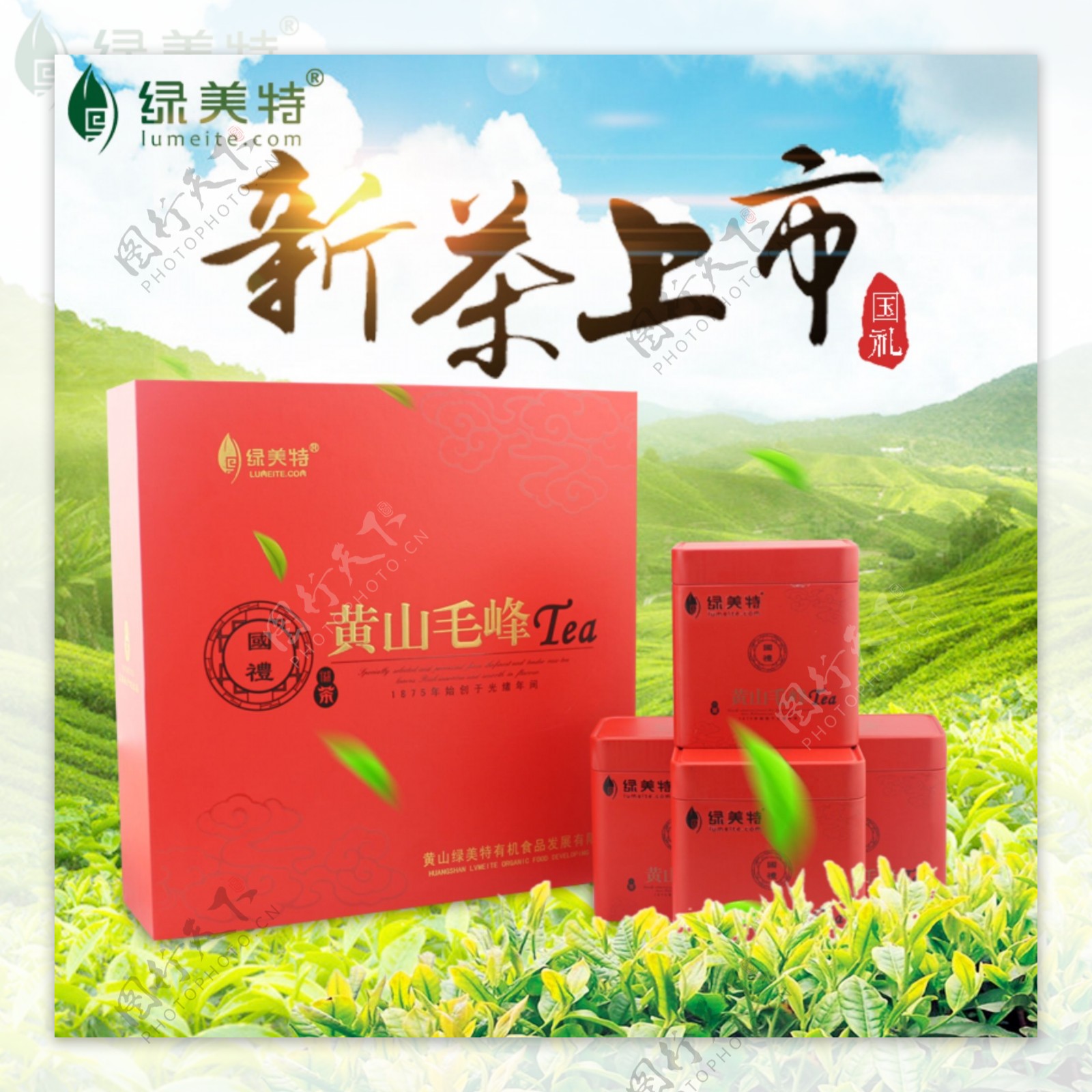 茶叶新品上市