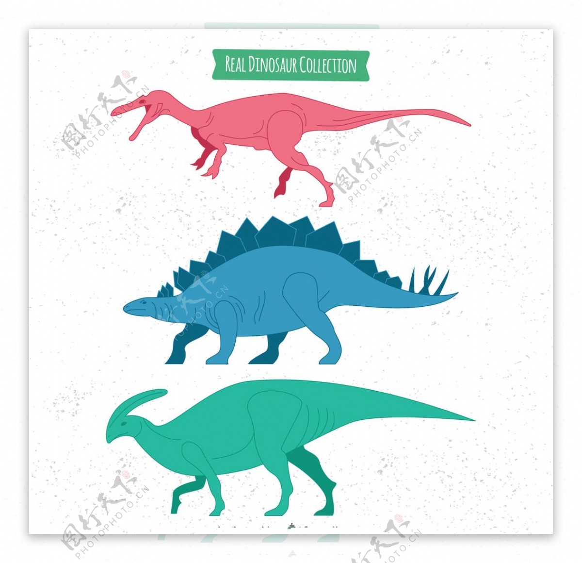 手绘彩色逼真的恐龙