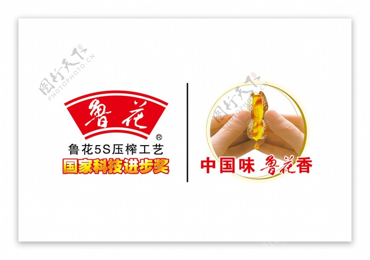 中国味鲁花香logo