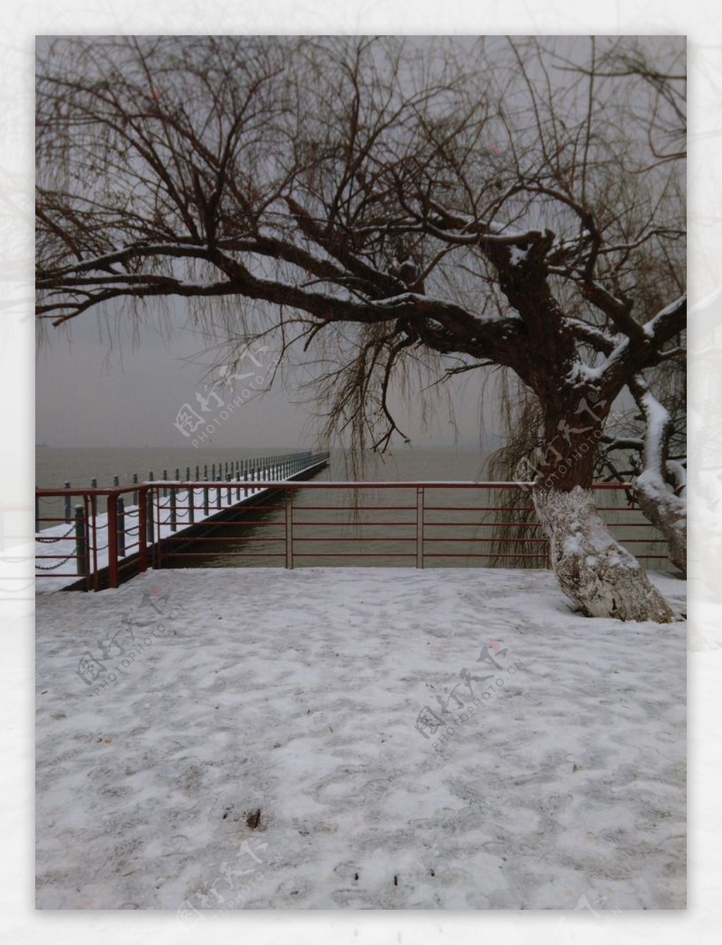 雪景