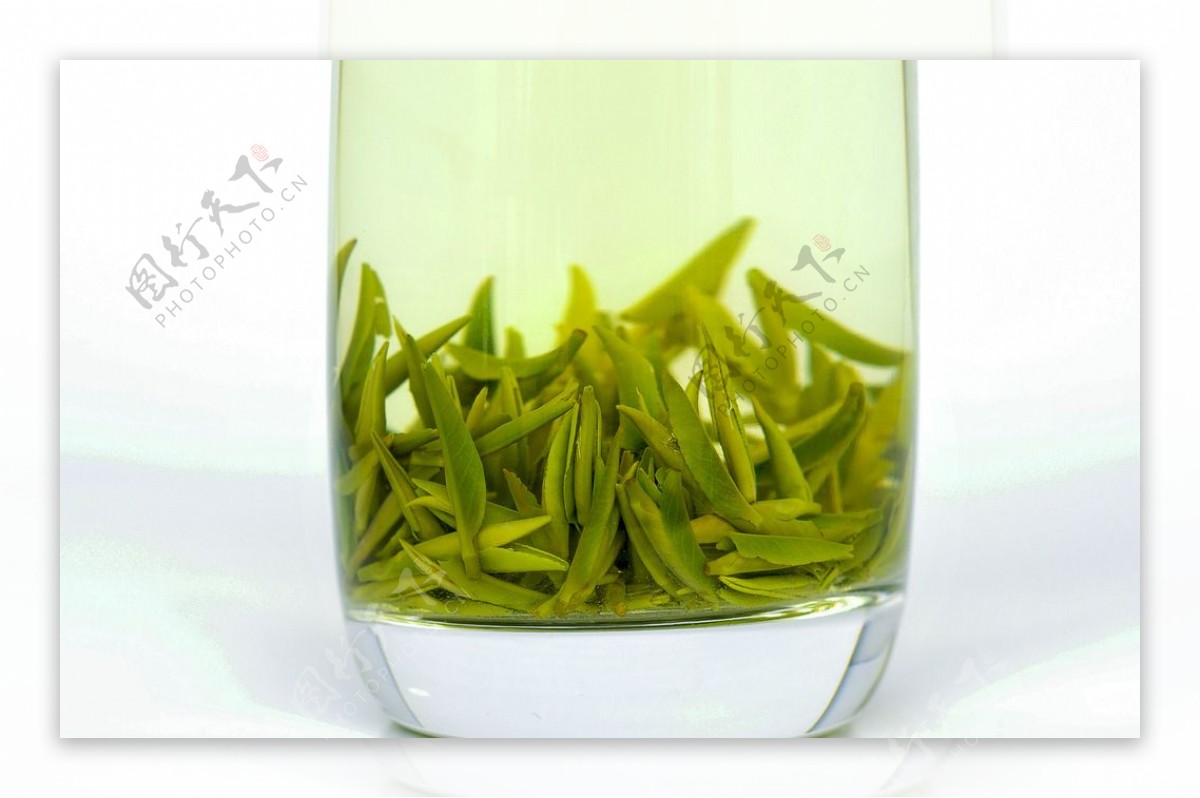 雀舌绿茶