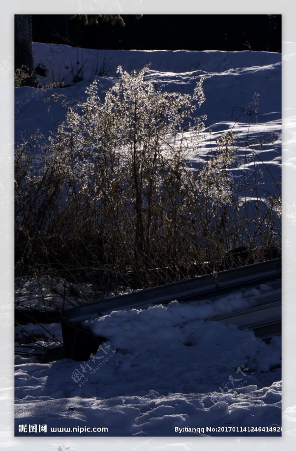 天池雪