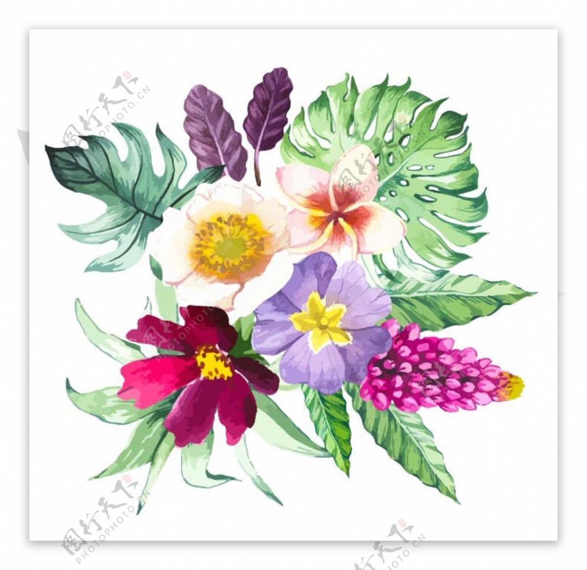 水彩热情花卉花绿叶紫色卡片矢量