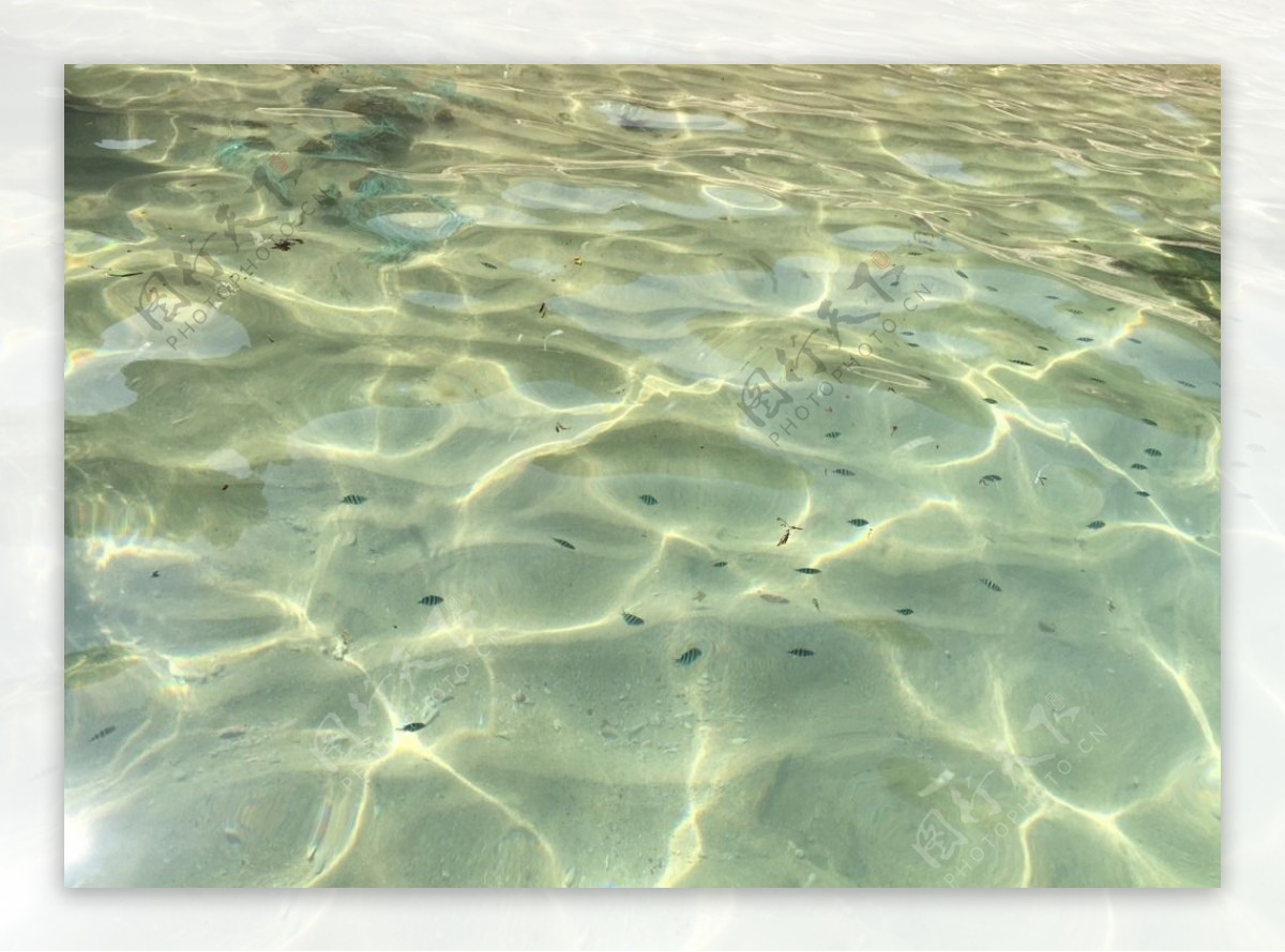 清澈透明的海水