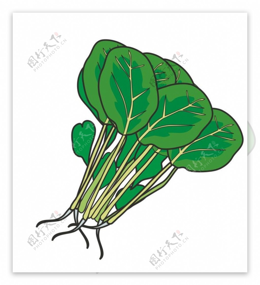 Vegetables Hand Painted Food Cg, Board Painting, Cartoon, Vegetable And Fruit PNG and Vector ...
