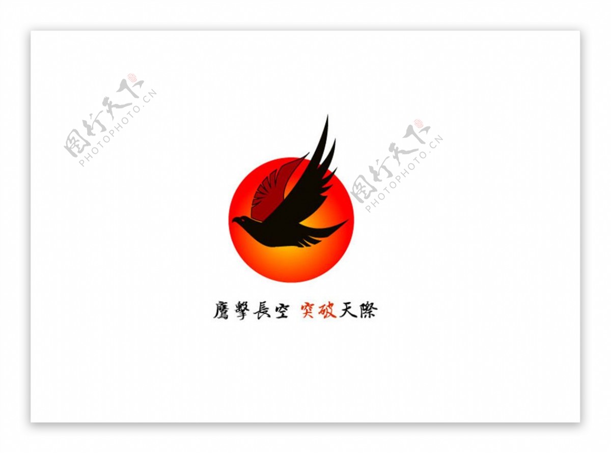 logo老鹰
