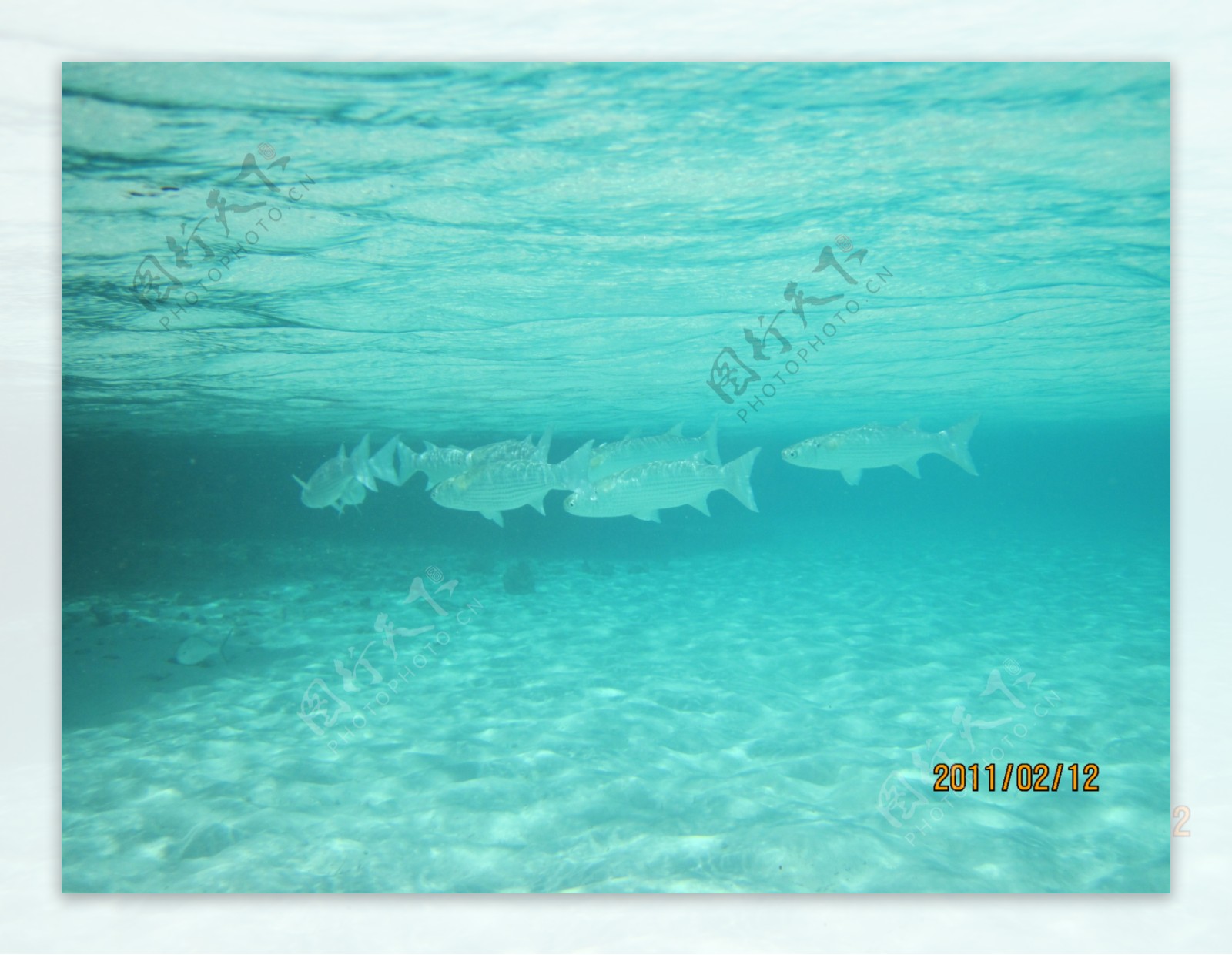 马尔代夫的海底