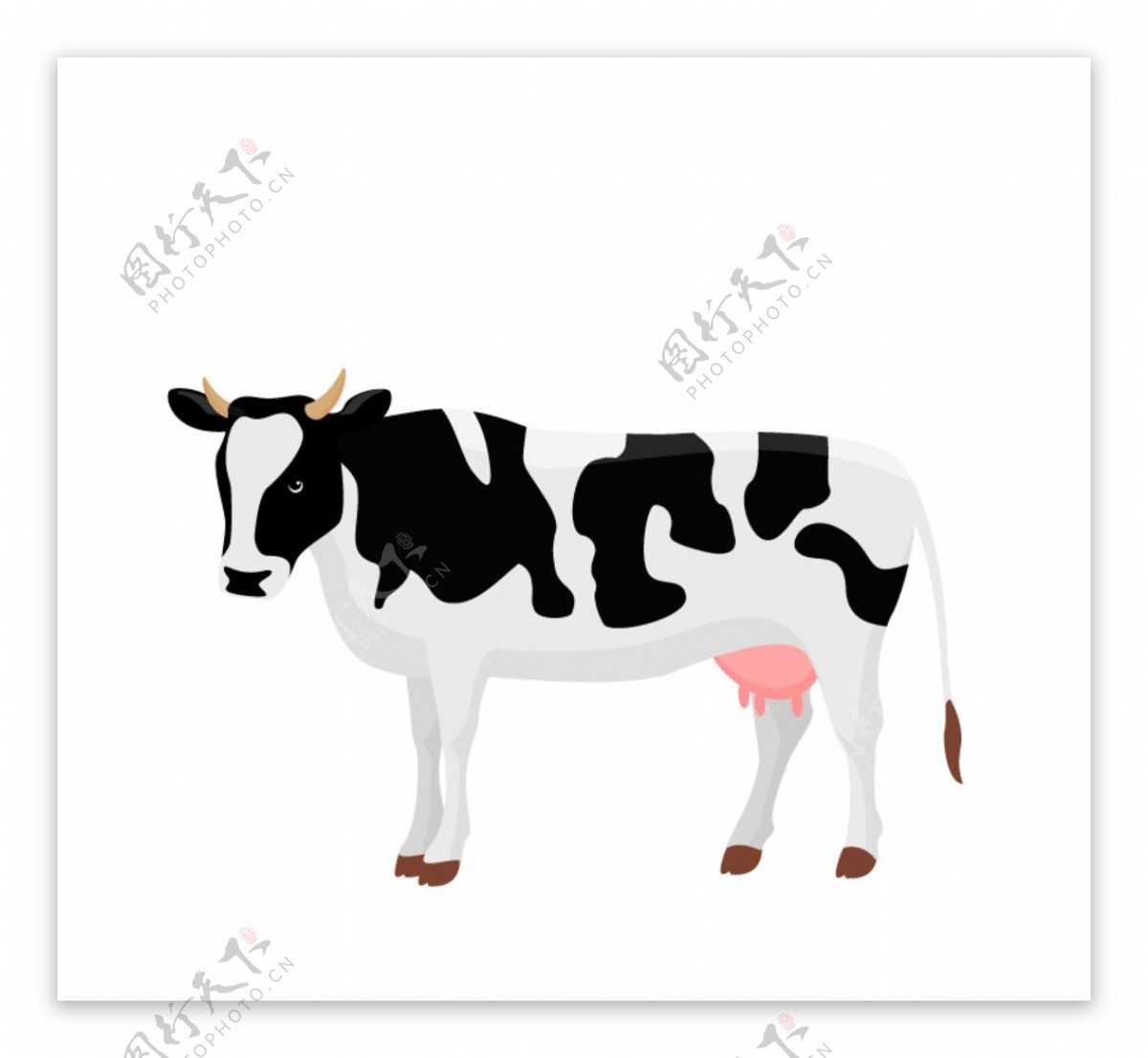 黑白花纹奶牛设计矢量素材