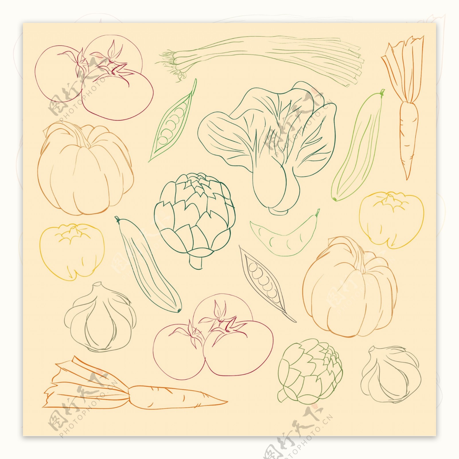 蔬菜颜色涂鸦设计