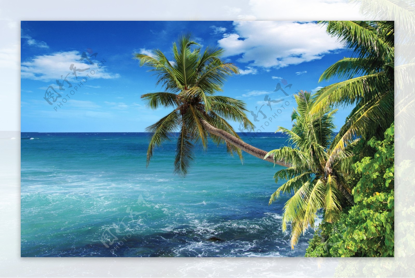 海滩椰树蓝天白云