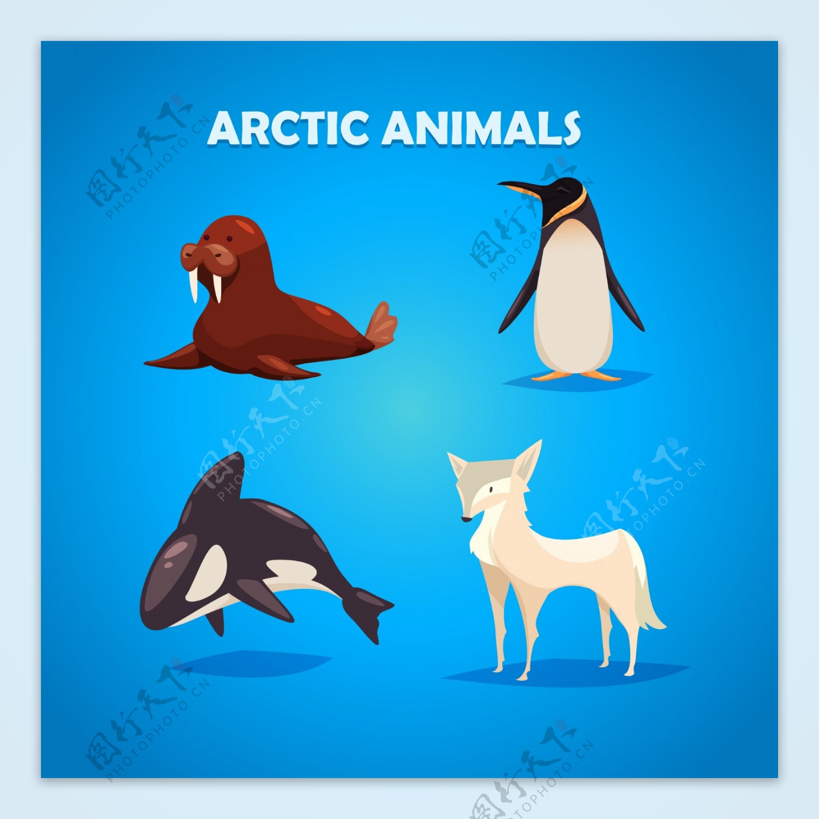 南极卡通动物