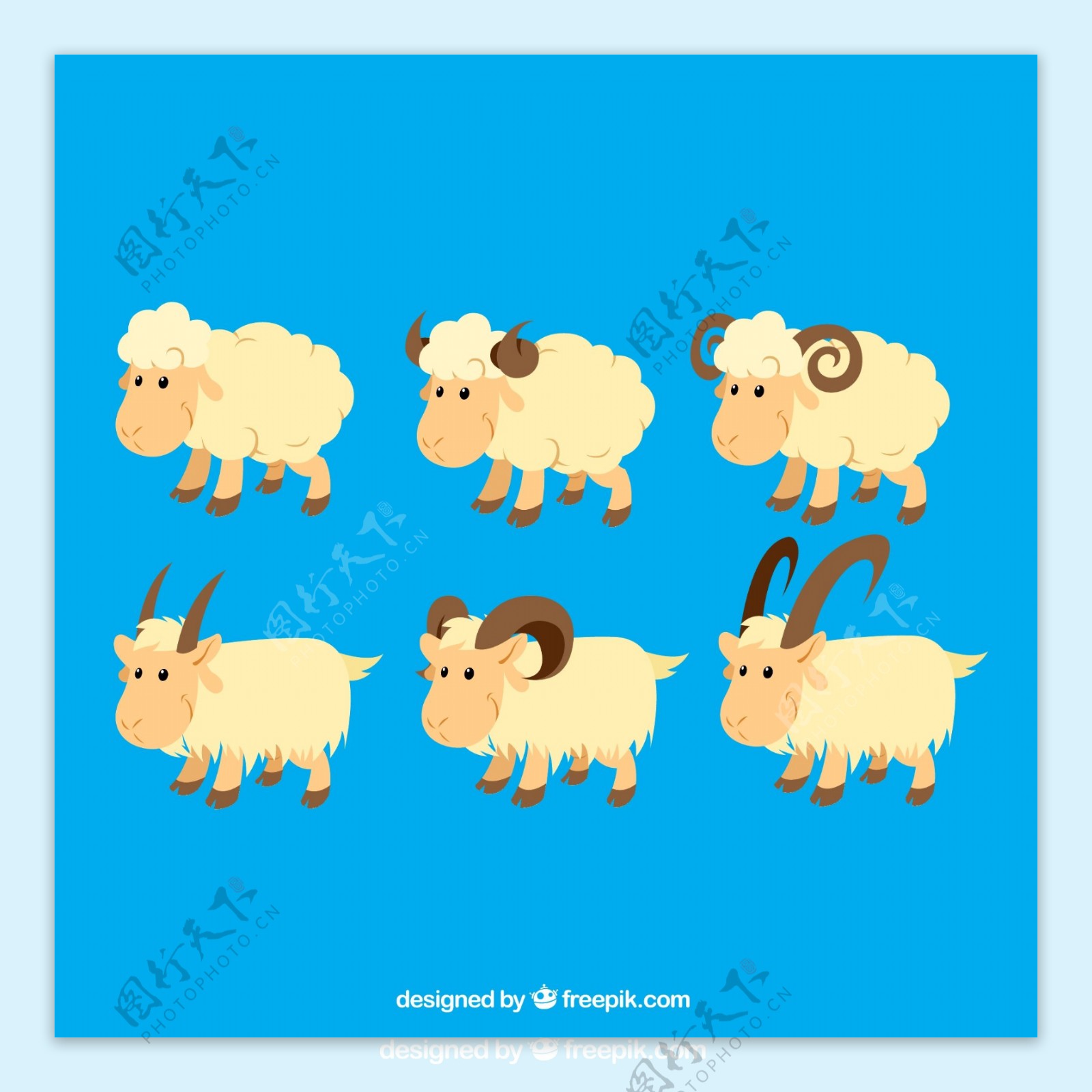 羊年-小羊卡通形象|平面|品牌|shuidou886 - 原创作品 - 站酷 (ZCOOL)