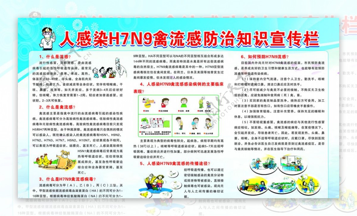 H7N9知识宣传