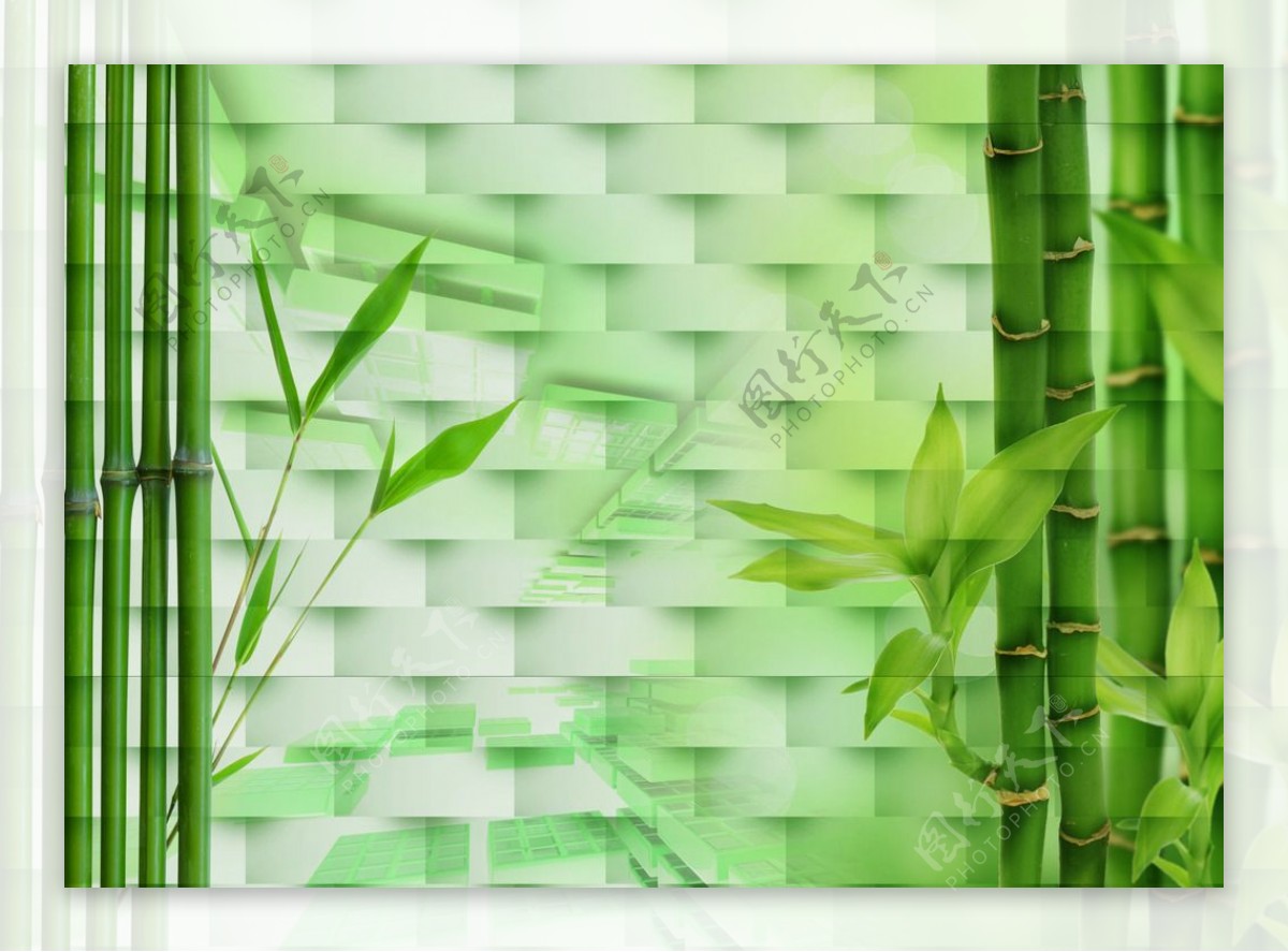 3D绿竹