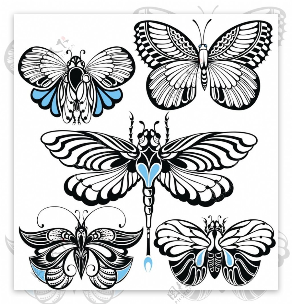 黑白剪影矢量素材图案蝴蝶