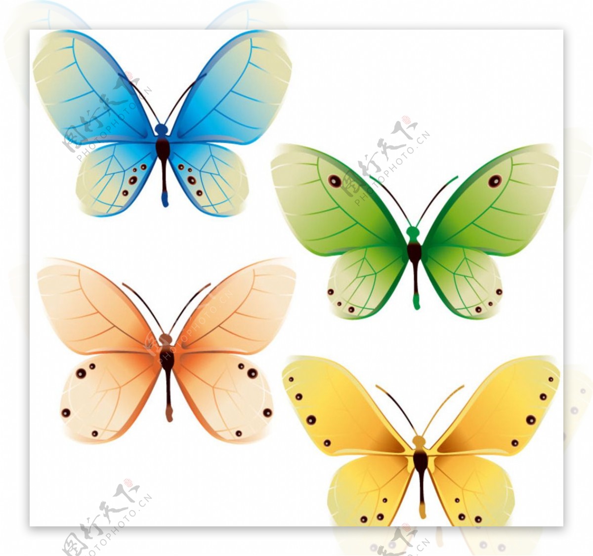 淡彩蝴蝶设计矢量素材