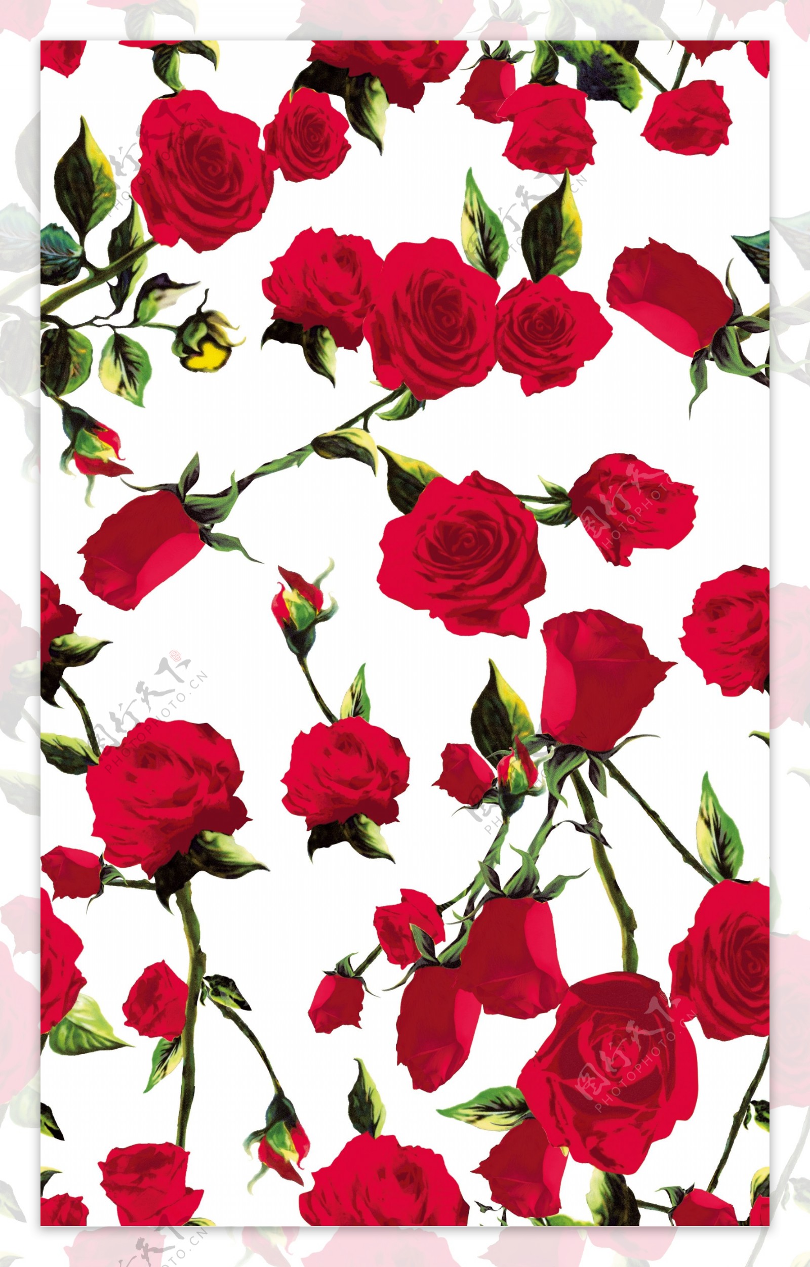 数码印花红玫瑰回位纹理图案