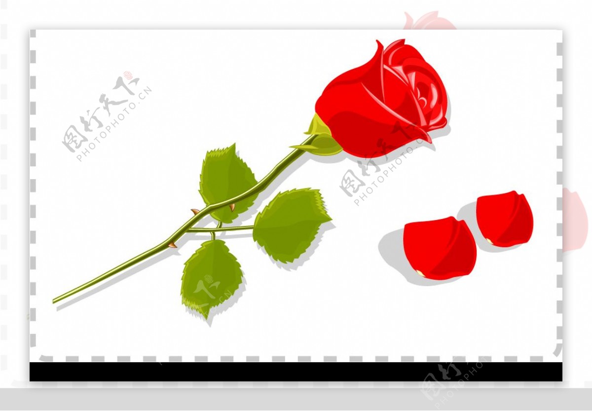 红色玫瑰花与花瓣矢量素材ai