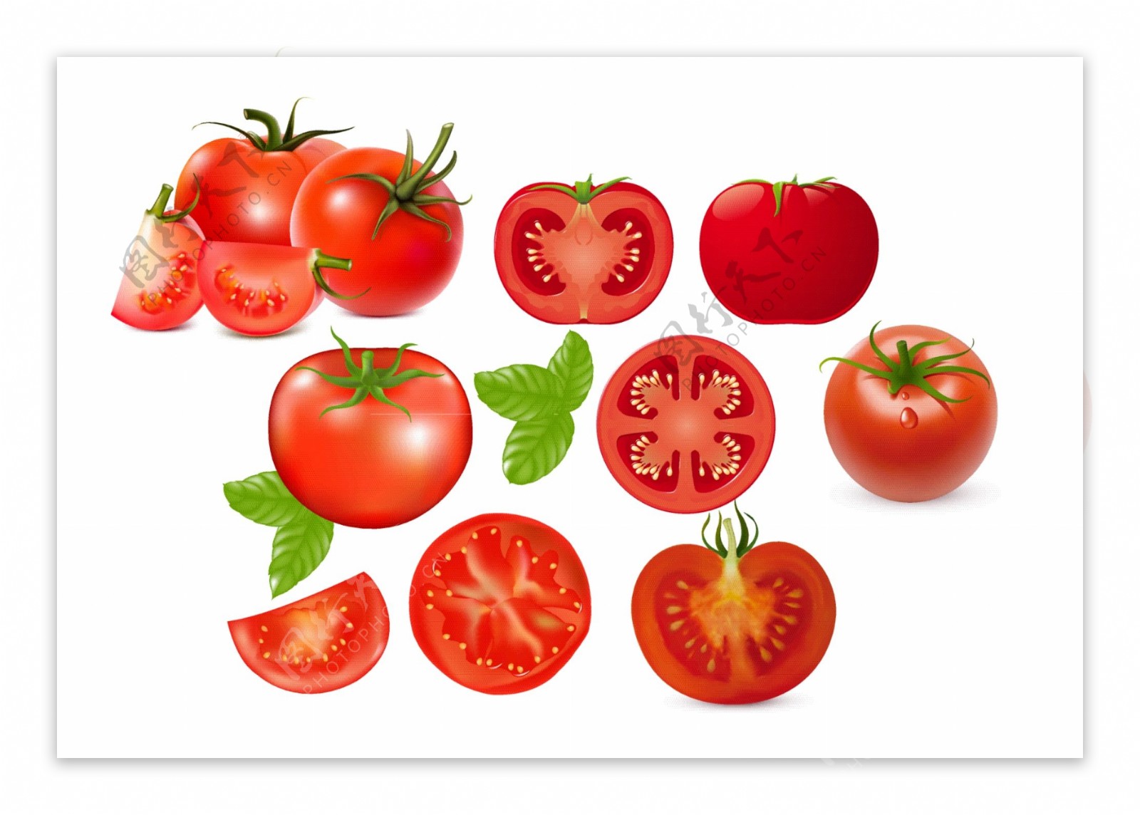 西红柿矢量图