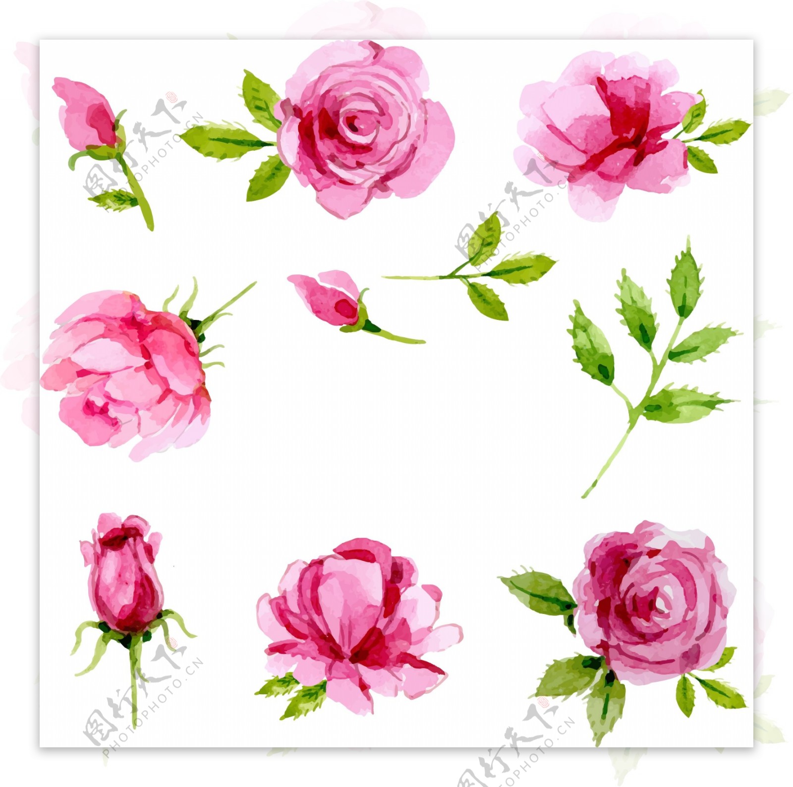 手绘水彩春季玫瑰元素