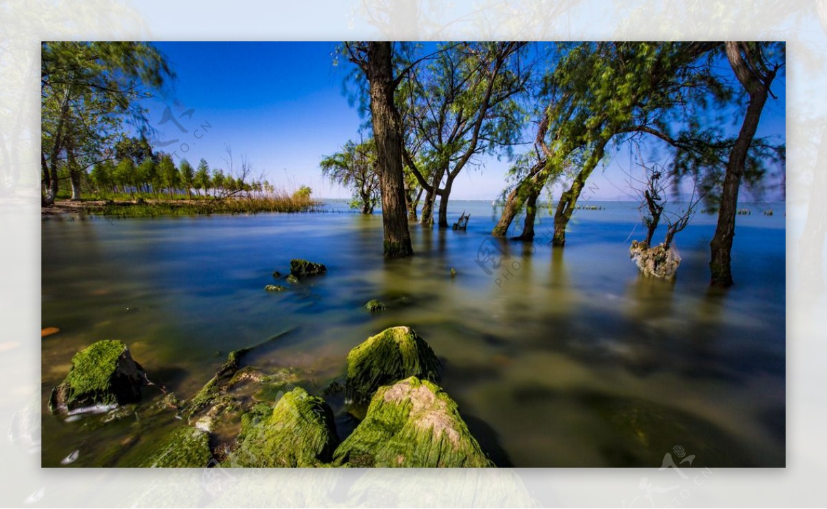 捞鱼河湿地