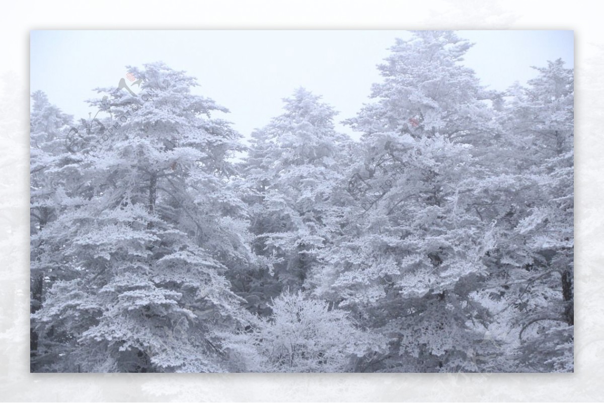 峨眉雪景