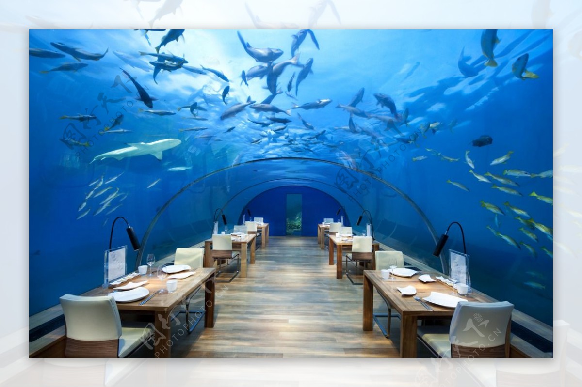 3d室内海洋鲨鱼餐厅