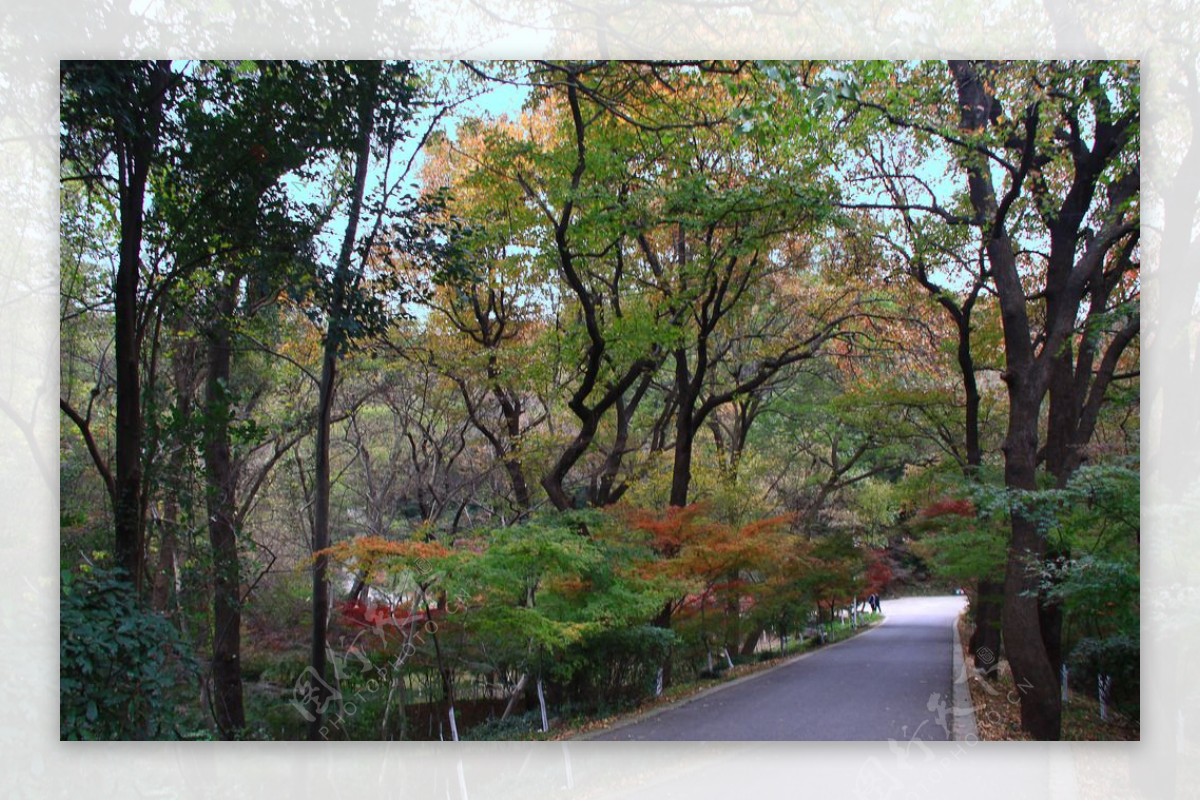 栖霞山红叶栖霞古寺