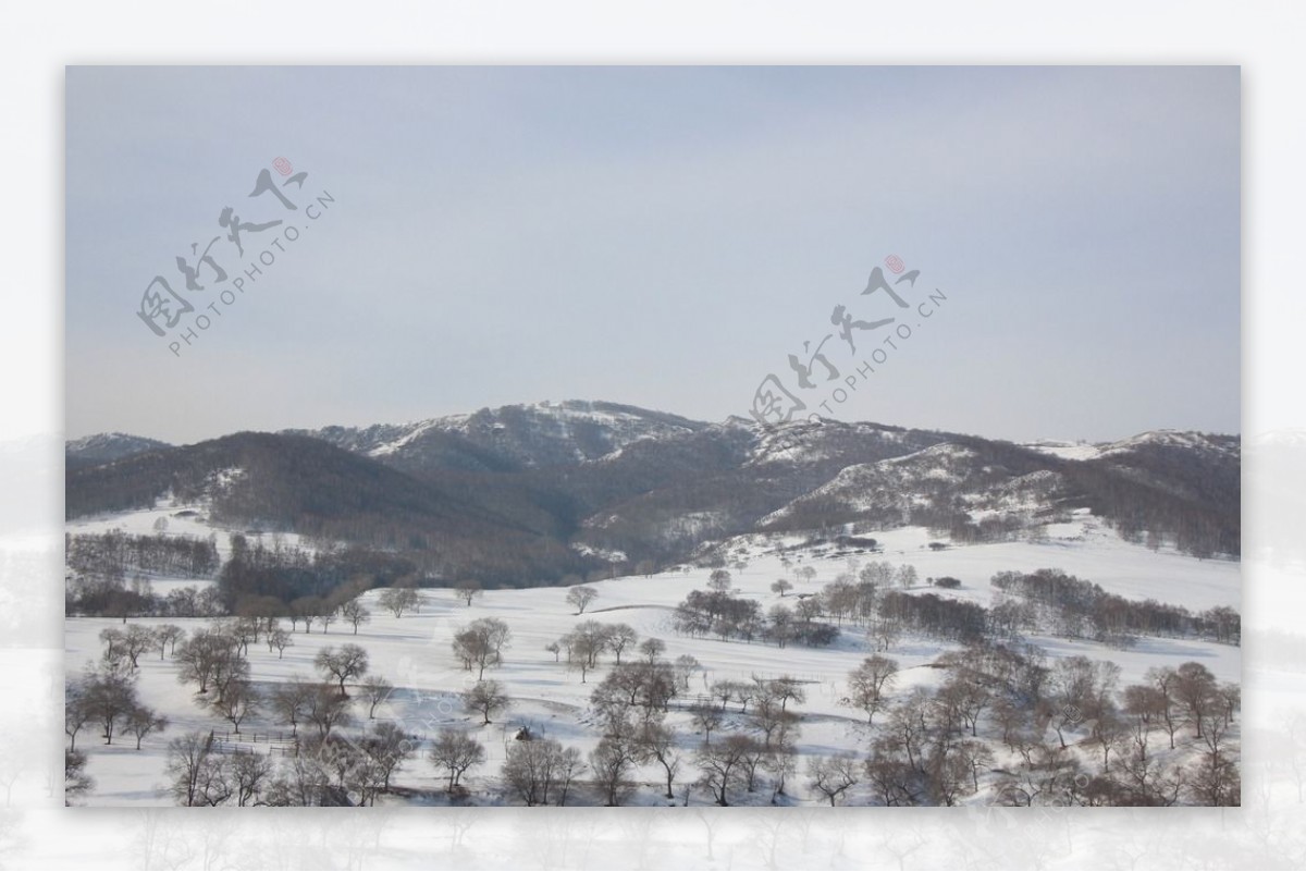 乌兰布统草原雪景