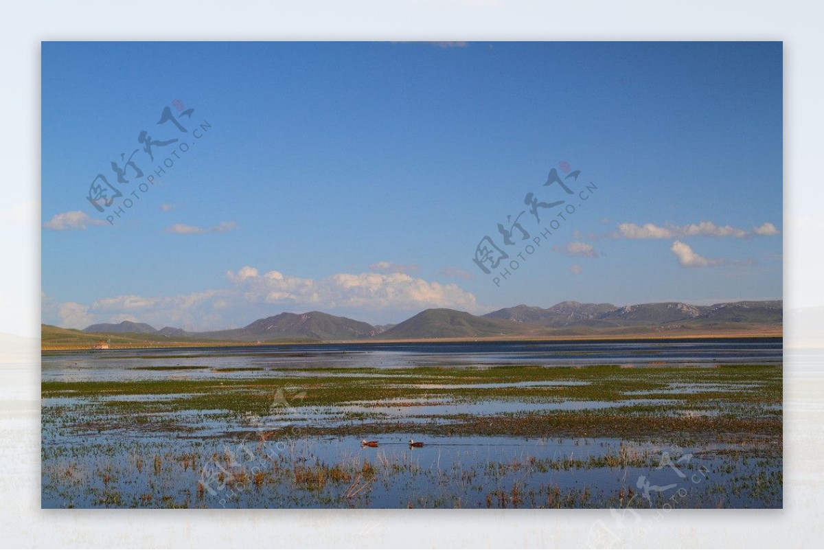 2023尕海湖游玩攻略,甘南碌曲县的尕海湖是我看到...【去哪儿攻略】