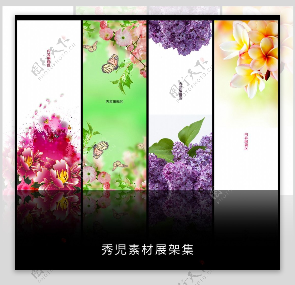 精美植物花卉设计素材画面