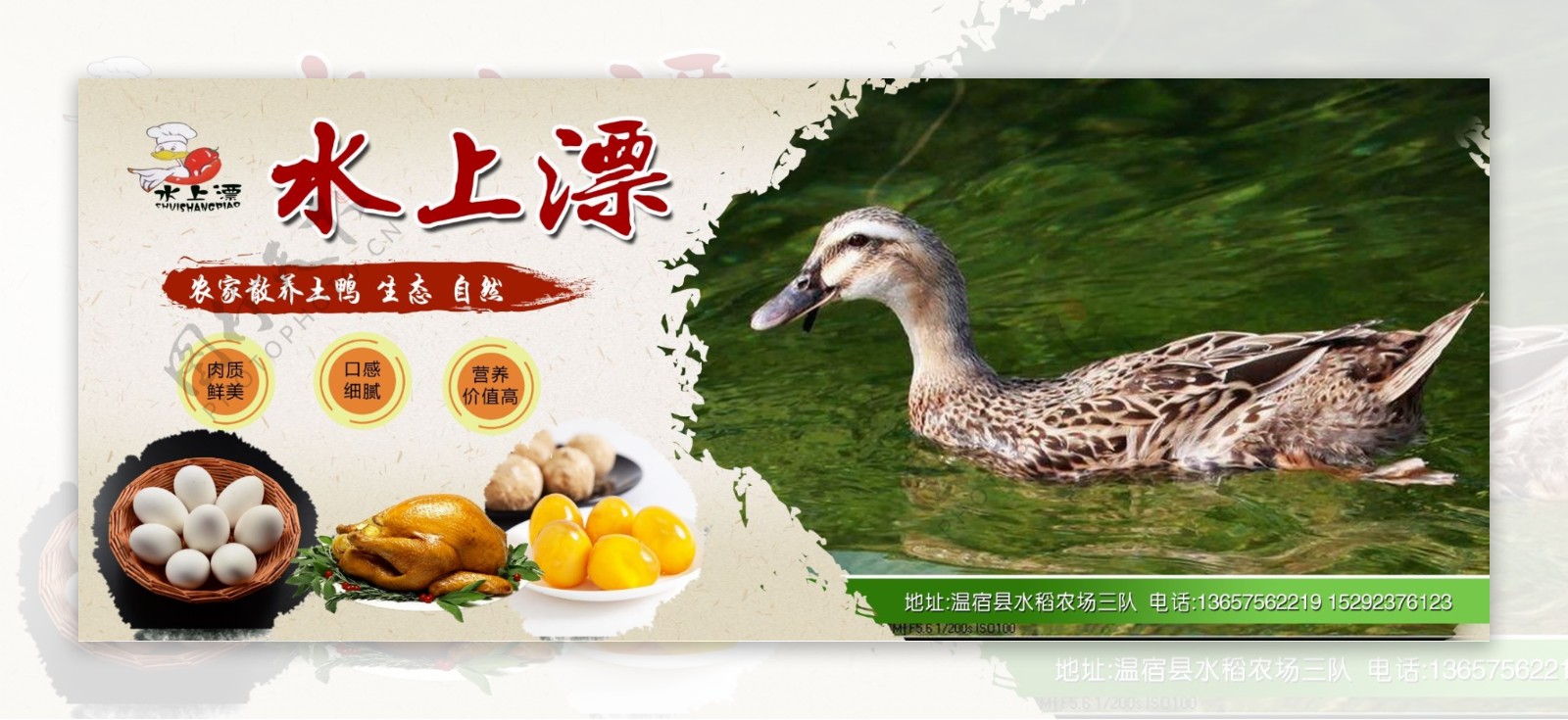 农家乐鸭子鸡农产品宣传