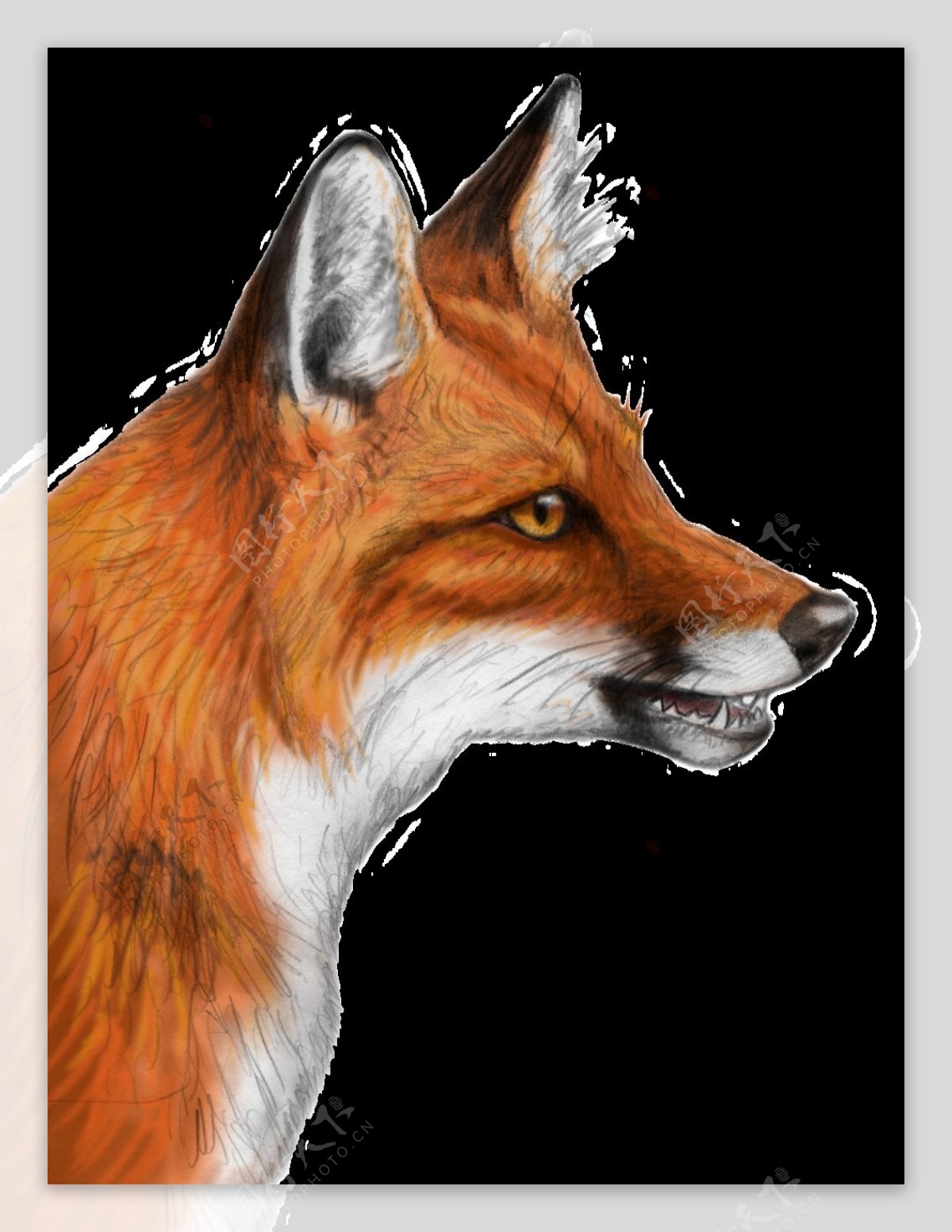 红棕色手绘狐狸免抠png透明图层素材