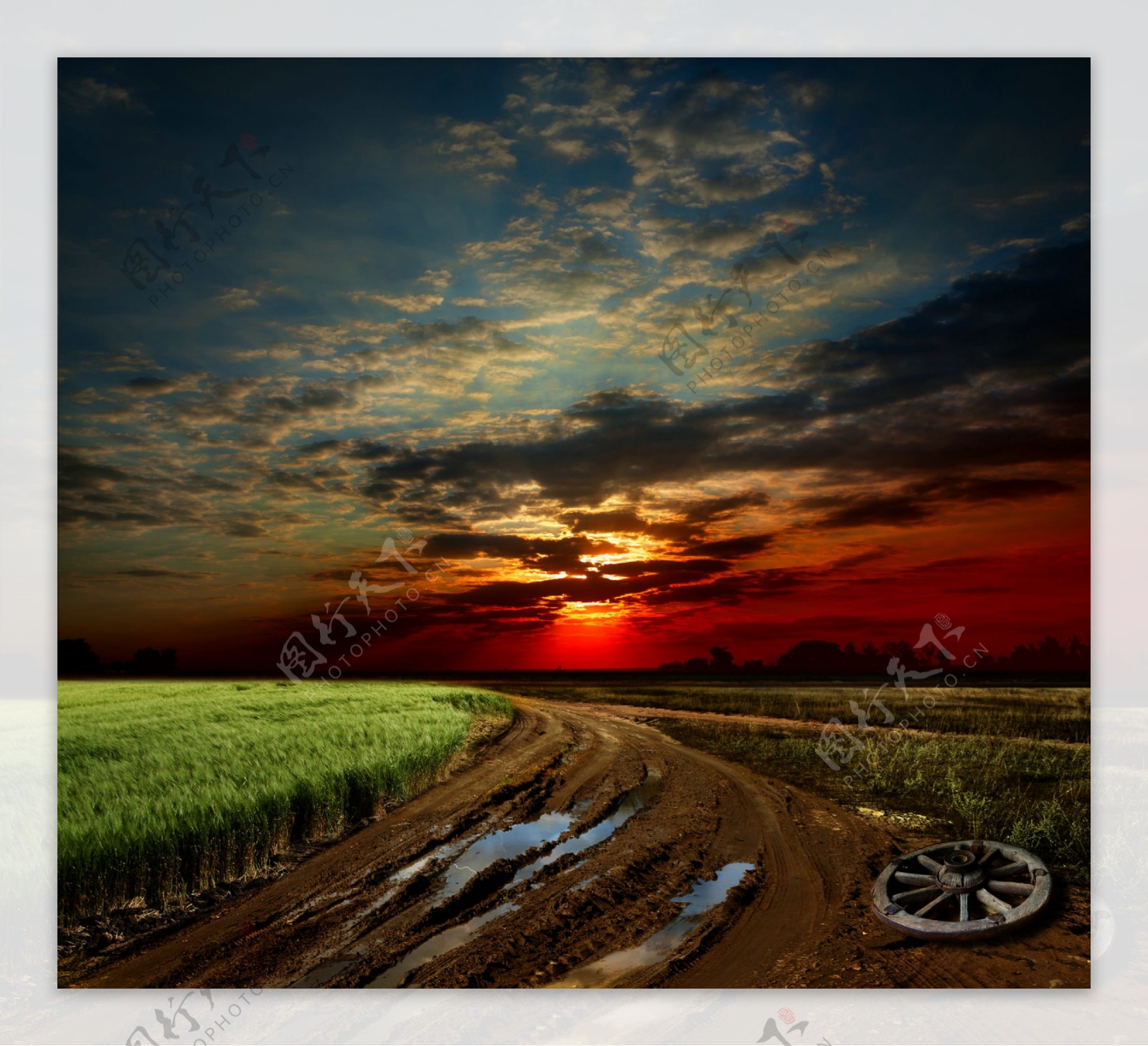 黄昏落日下的道路与麦田图片