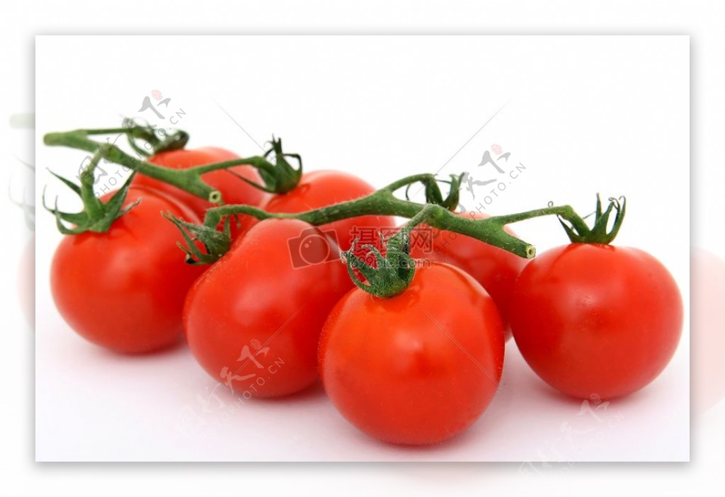 自然健康的有机辣椒西红柿