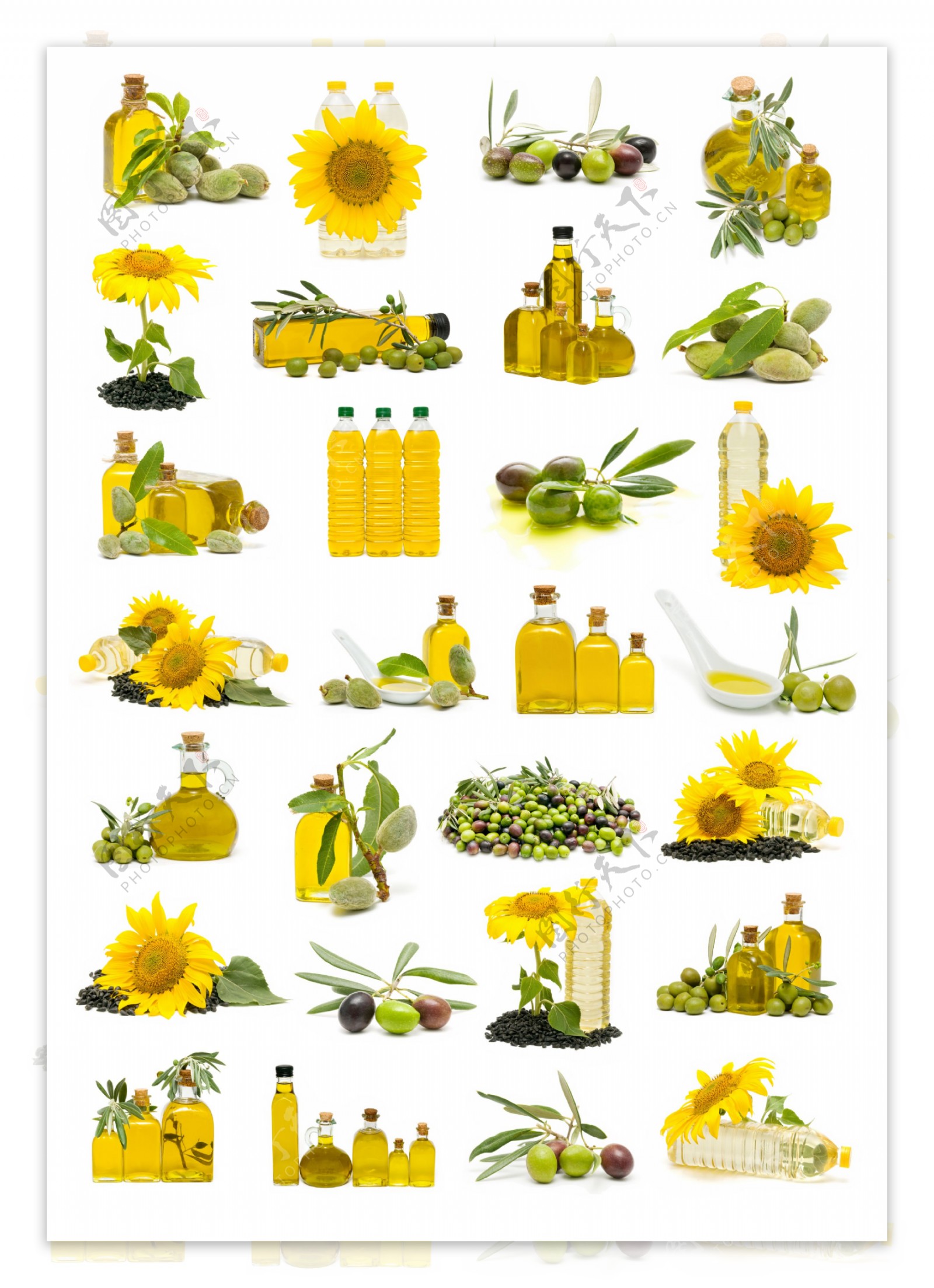 葵花与橄榄油图片