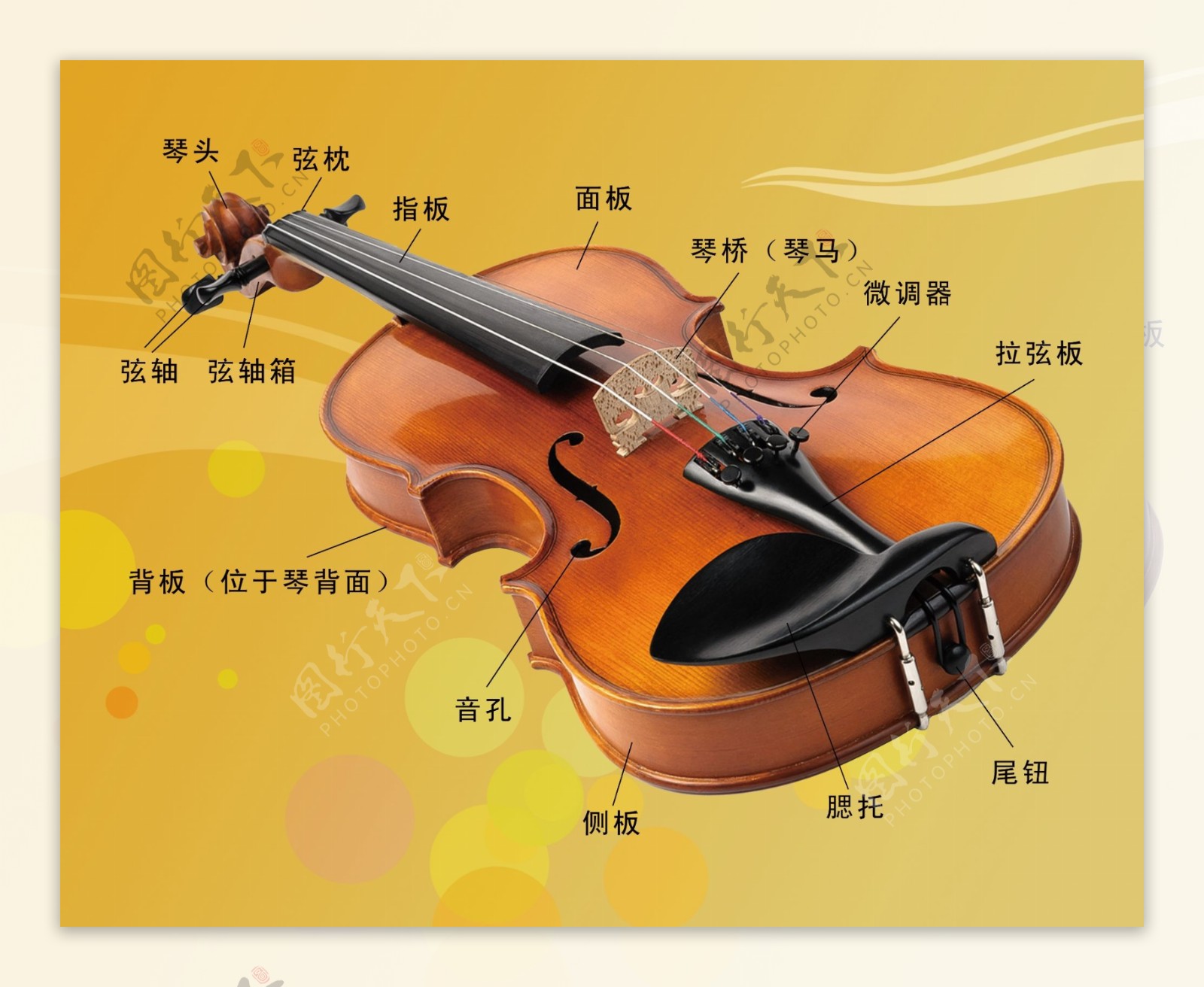 小提琴介绍展板
